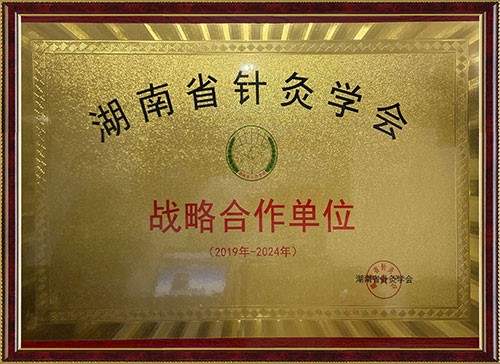 湖南省針灸學(xué)會(huì )戰功略合作單位